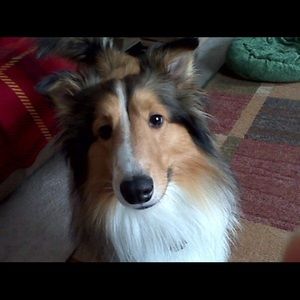 Meet your Posher, Mike